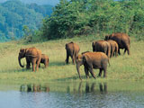 Periyar wildlife sanctuaries